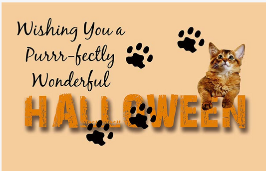 Halloween Kitten